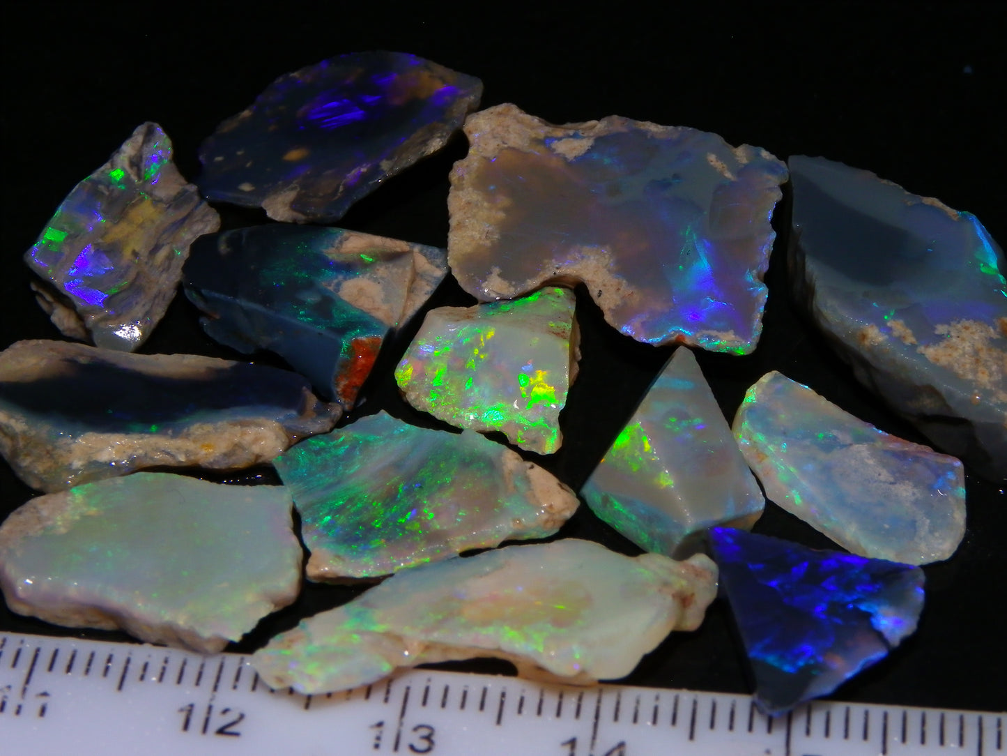 Nice Rough/Sliced/Rubbed Lightning Ridge Opals 63.8cts Blue/Green/Purple Fires