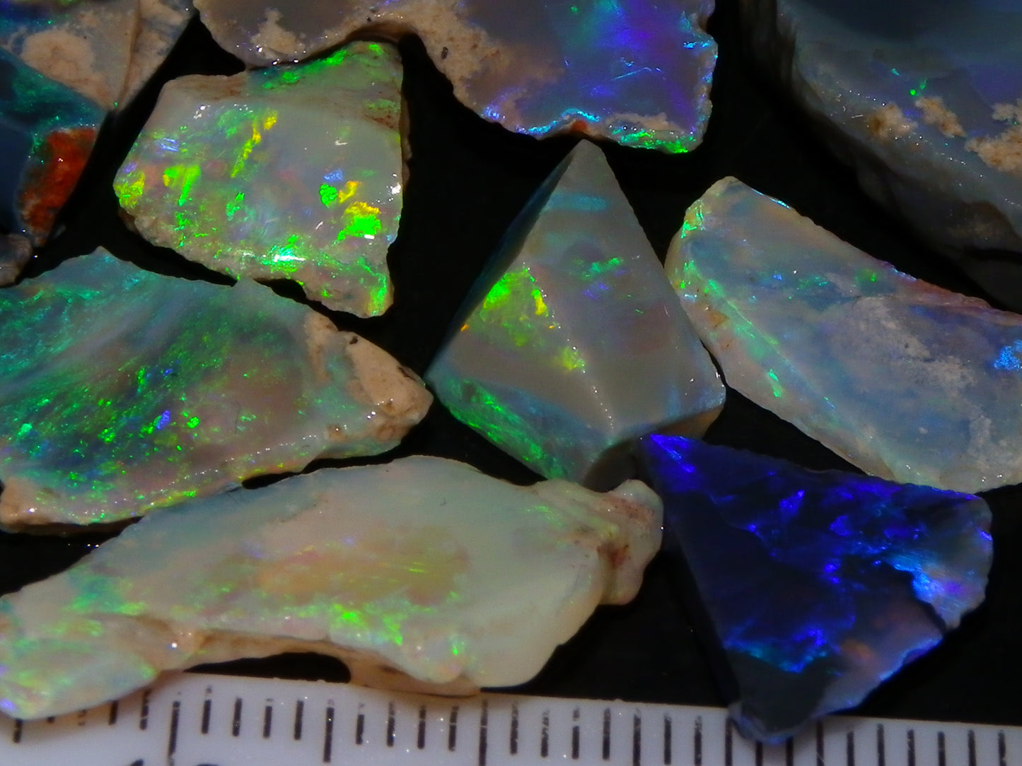 Nice Rough/Sliced/Rubbed Lightning Ridge Opals 63.8cts Blue/Green/Purple Fires