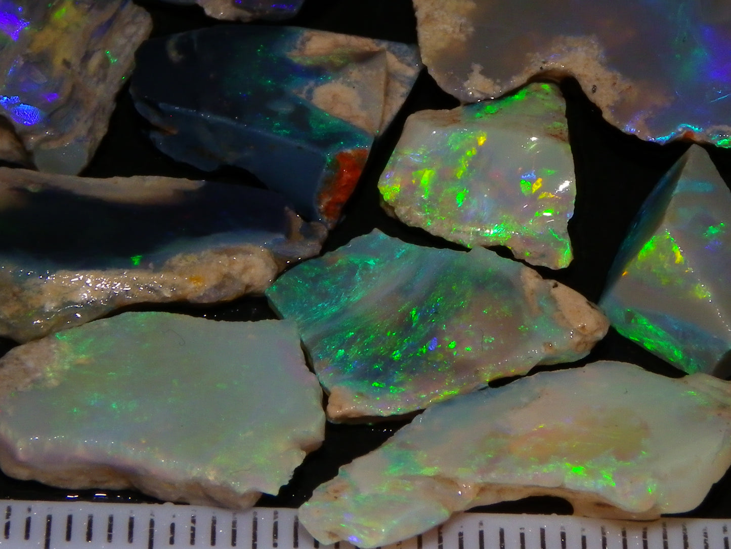 Nice Rough/Sliced/Rubbed Lightning Ridge Opals 63.8cts Blue/Green/Purple Fires