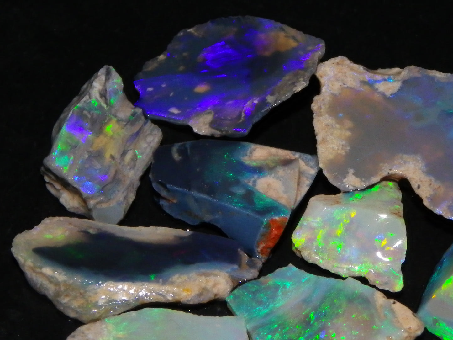 Nice Rough/Sliced/Rubbed Lightning Ridge Opals 63.8cts Blue/Green/Purple Fires