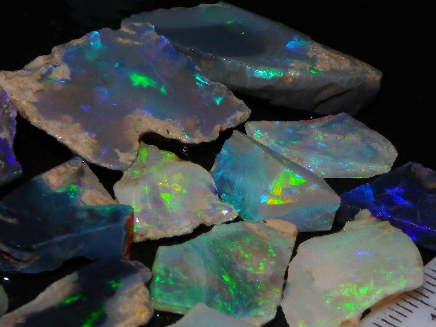 Nice Rough/Sliced/Rubbed Lightning Ridge Opals 63.8cts Blue/Green/Purple Fires