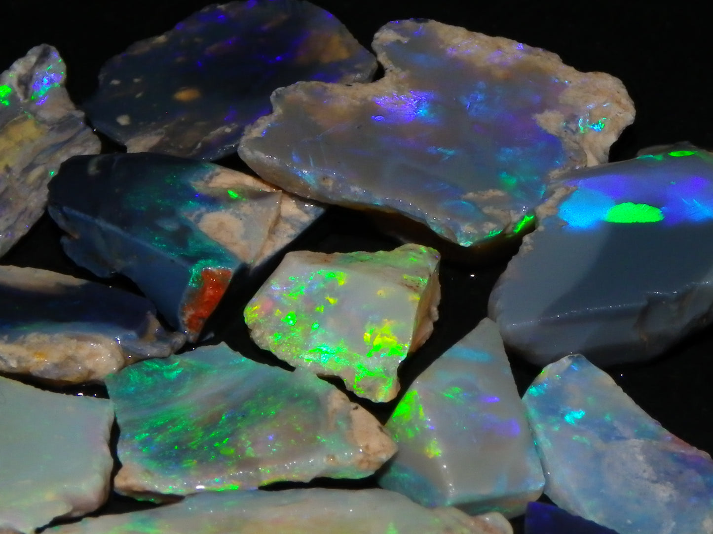 Nice Rough/Sliced/Rubbed Lightning Ridge Opals 63.8cts Blue/Green/Purple Fires