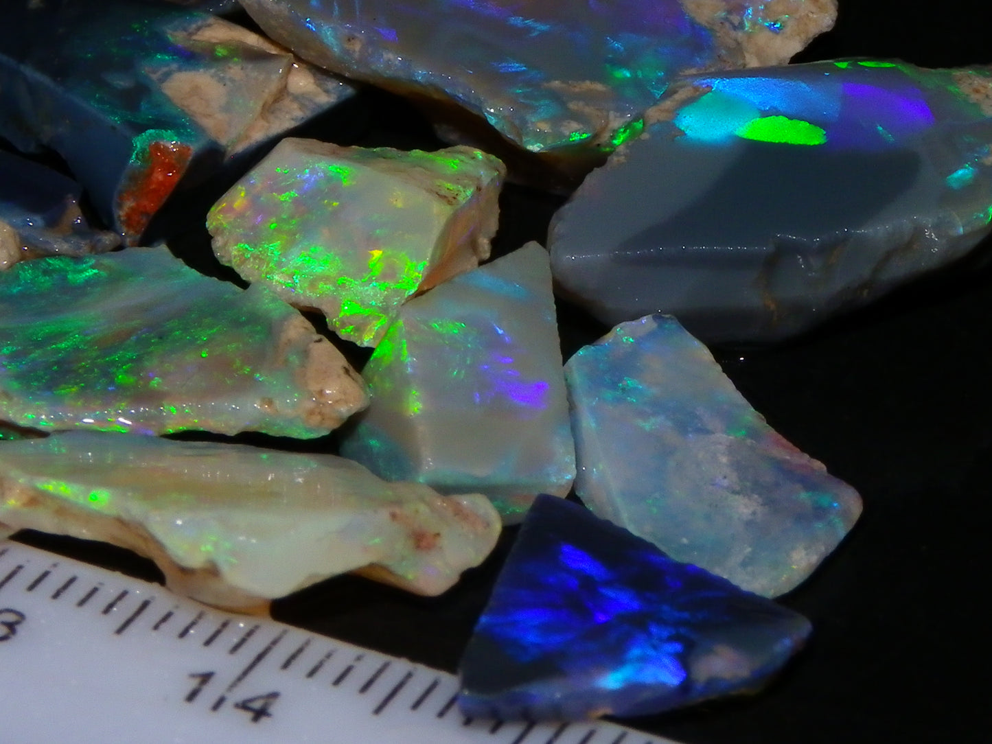 Nice Rough/Sliced/Rubbed Lightning Ridge Opals 63.8cts Blue/Green/Purple Fires