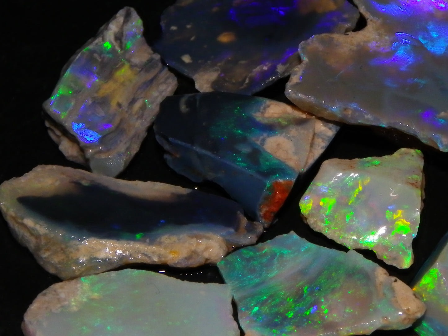 Nice Rough/Sliced/Rubbed Lightning Ridge Opals 63.8cts Blue/Green/Purple Fires