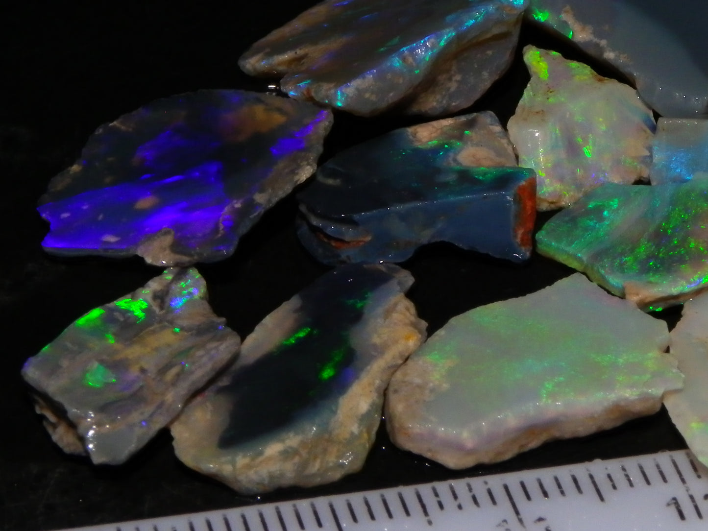 Nice Rough/Sliced/Rubbed Lightning Ridge Opals 63.8cts Blue/Green/Purple Fires