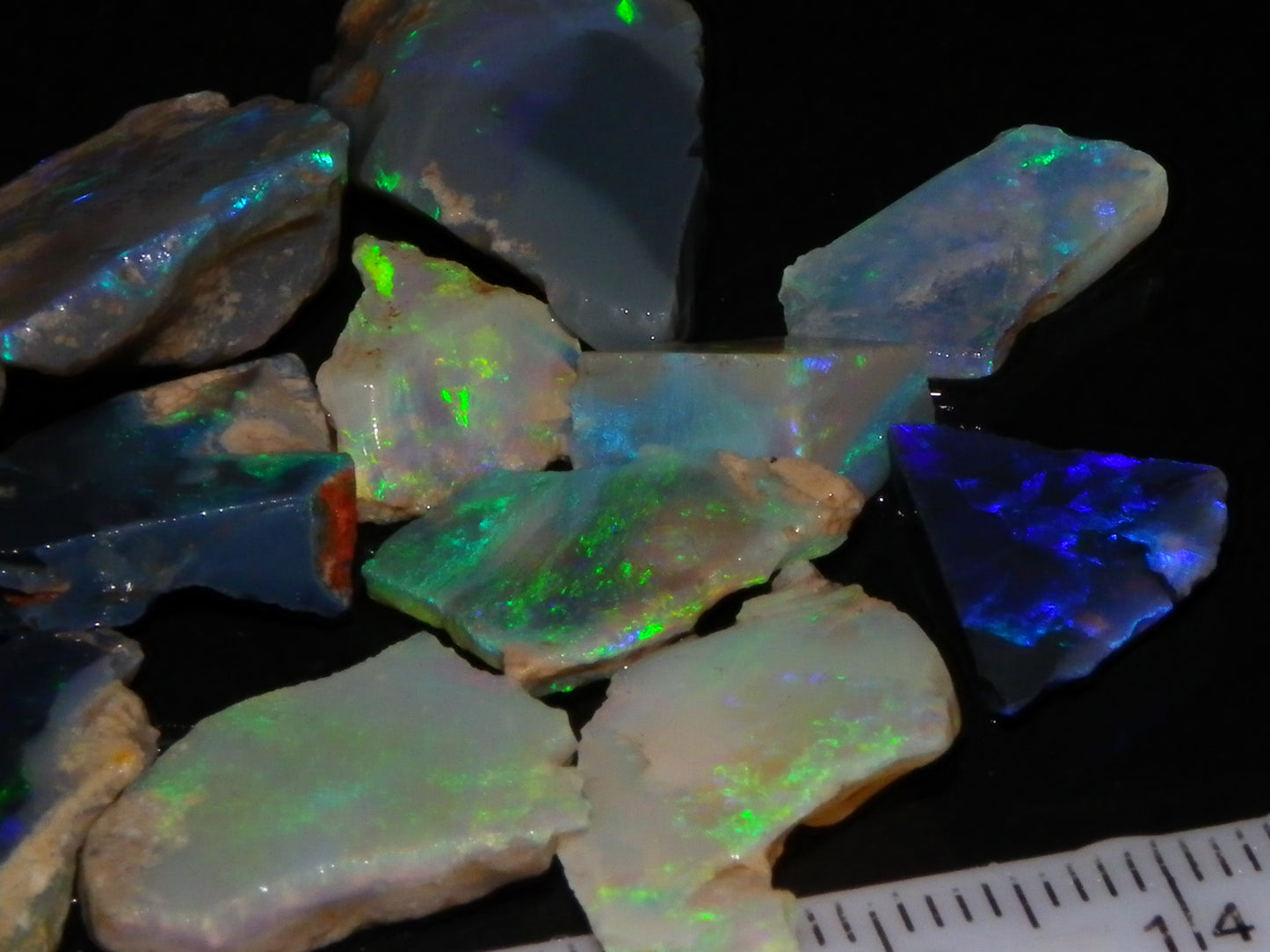 Nice Rough/Sliced/Rubbed Lightning Ridge Opals 63.8cts Blue/Green/Purple Fires