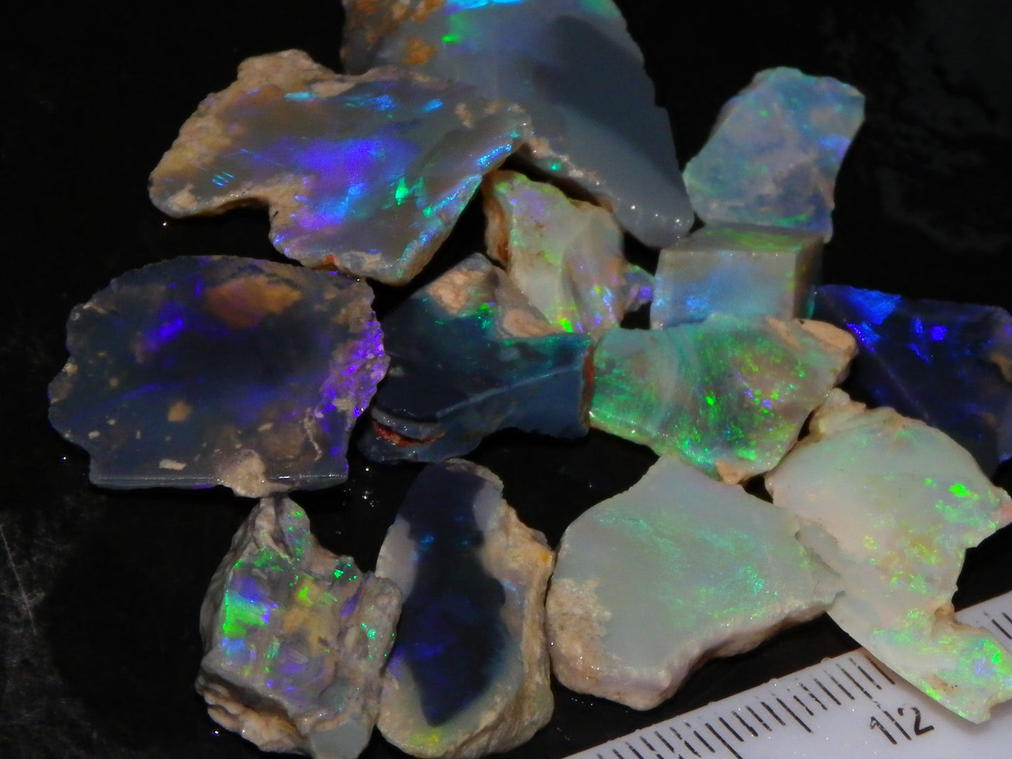 Nice Rough/Sliced/Rubbed Lightning Ridge Opals 63.8cts Blue/Green/Purple Fires