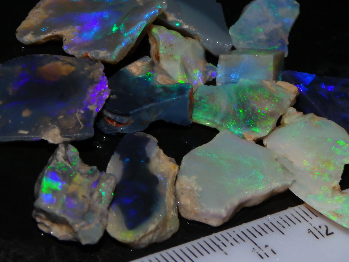 Nice Rough/Sliced/Rubbed Lightning Ridge Opals 63.8cts Blue/Green/Purple Fires