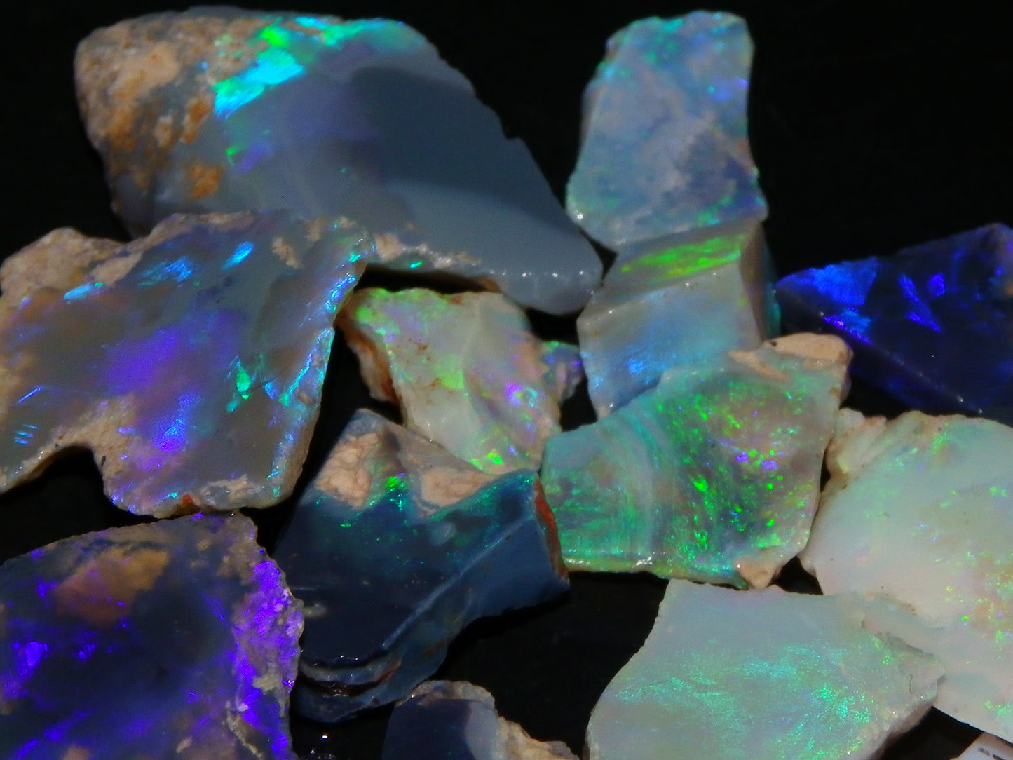 Nice Rough/Sliced/Rubbed Lightning Ridge Opals 63.8cts Blue/Green/Purple Fires