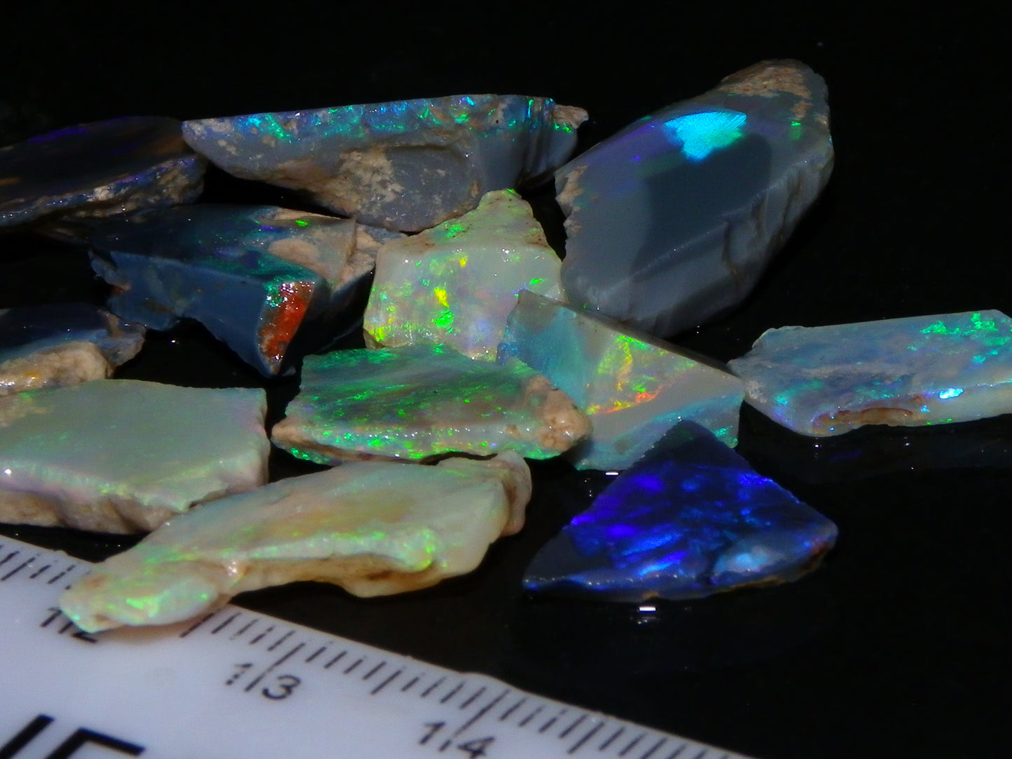 Nice Rough/Sliced/Rubbed Lightning Ridge Opals 63.8cts Blue/Green/Purple Fires