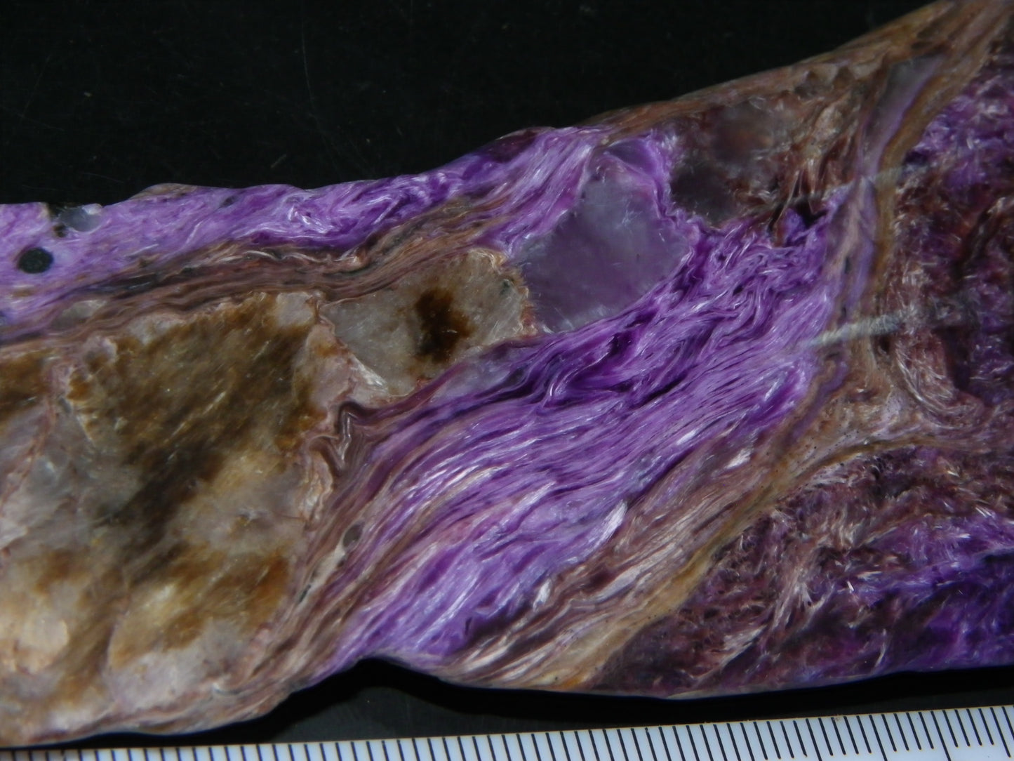 Nice Large Rough Charoite Slice 413.5cts Polished/Coated Purples/Host Rock :)