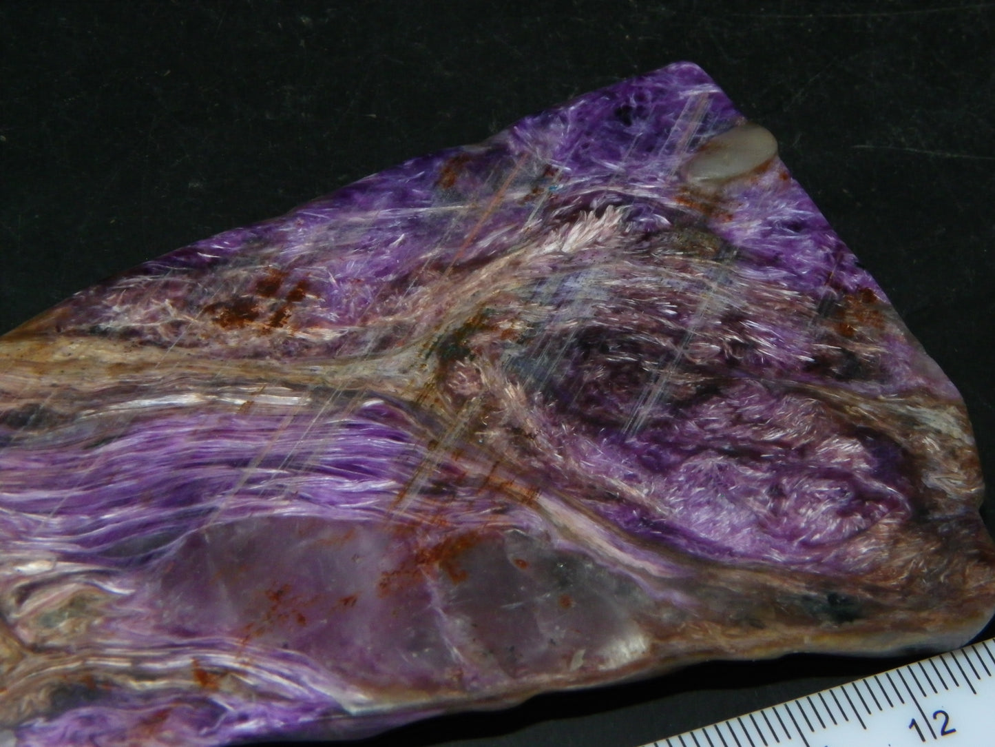 Nice Large Rough Charoite Slice 413.5cts Polished/Coated Purples/Host Rock :)