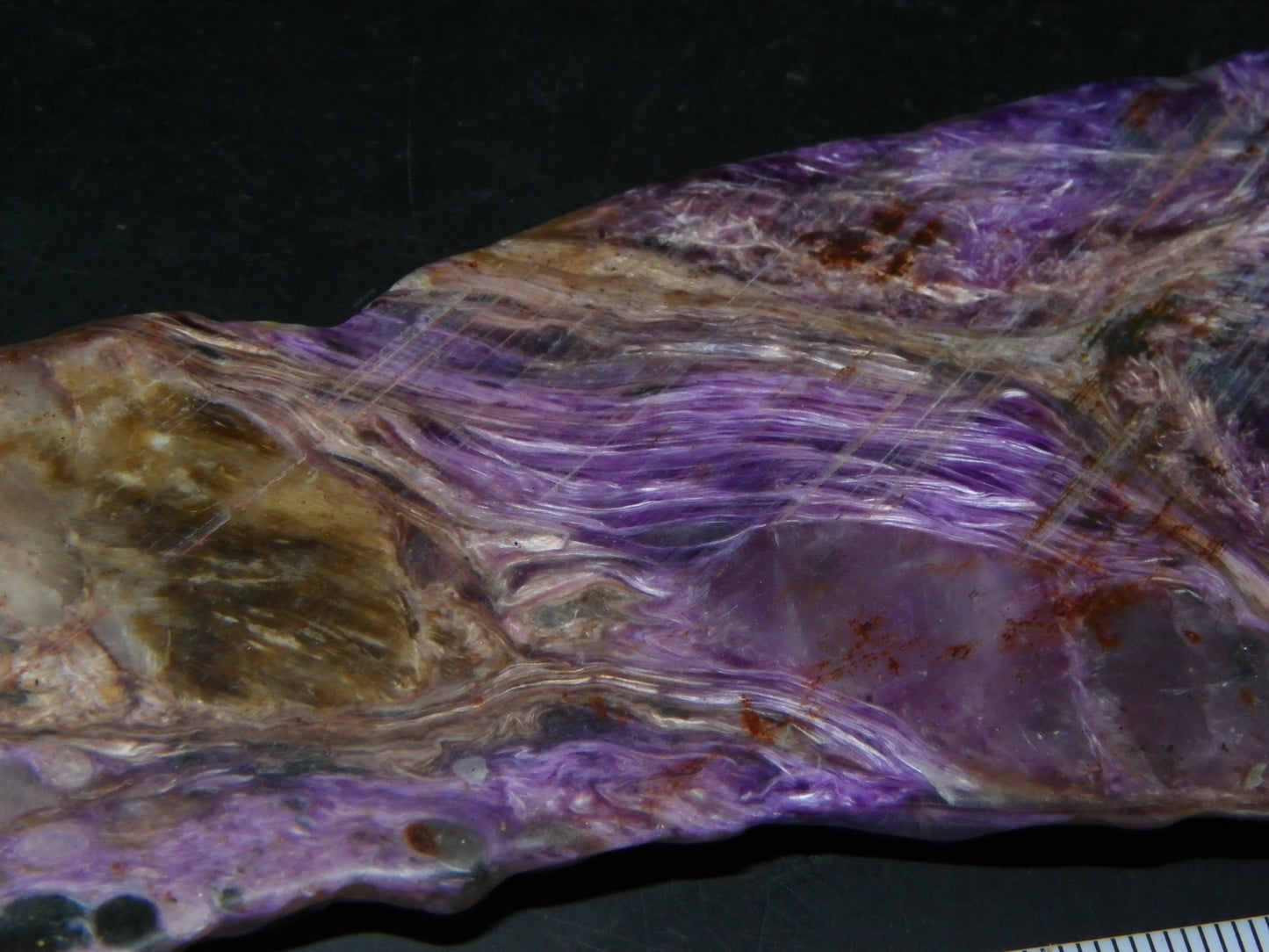 Nice Large Rough Charoite Slice 413.5cts Polished/Coated Purples/Host Rock :)