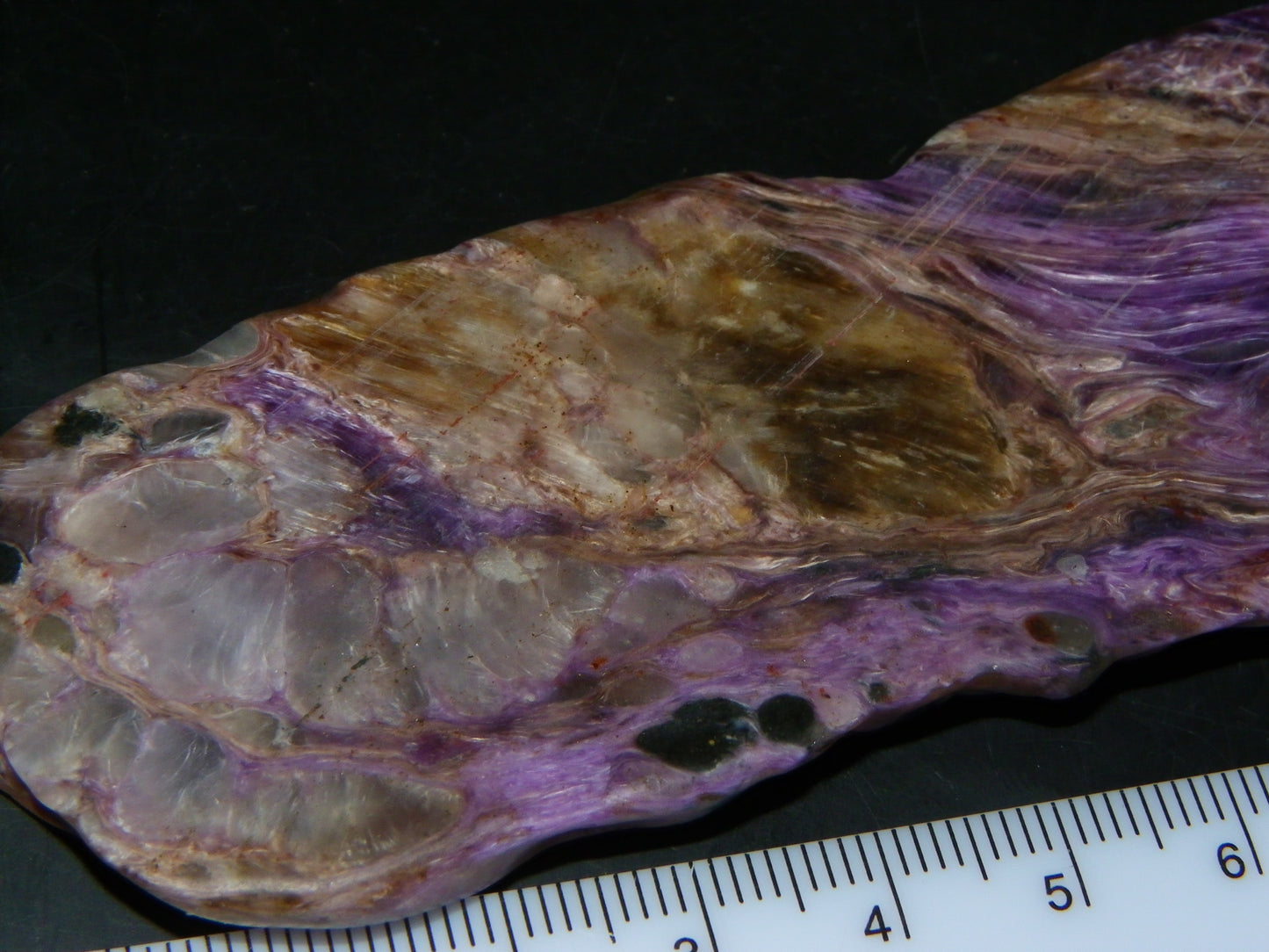 Nice Large Rough Charoite Slice 413.5cts Polished/Coated Purples/Host Rock :)