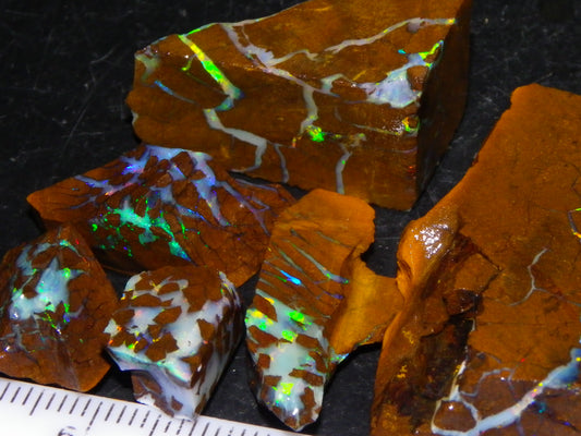 Nice Rough/Sliced Matrix Opal Parcel 229cts Opalton/Queensland Australia Veins