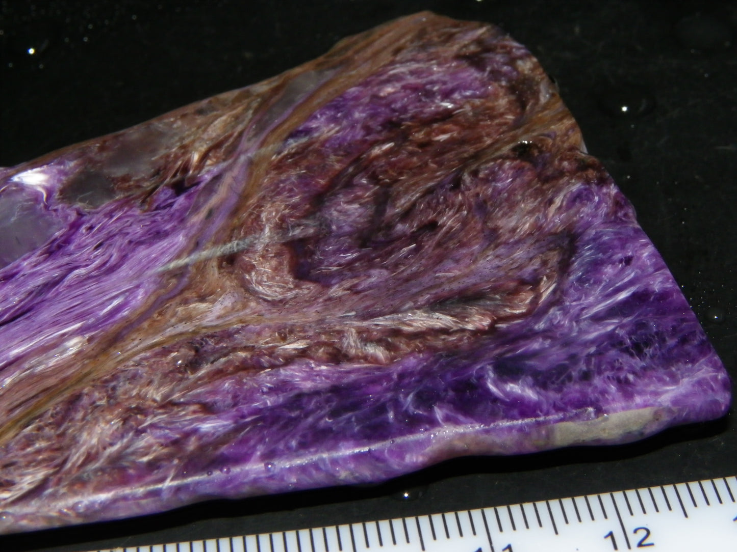 Nice Large Rough Charoite Slice 413.5cts Polished/Coated Purples/Host Rock :)