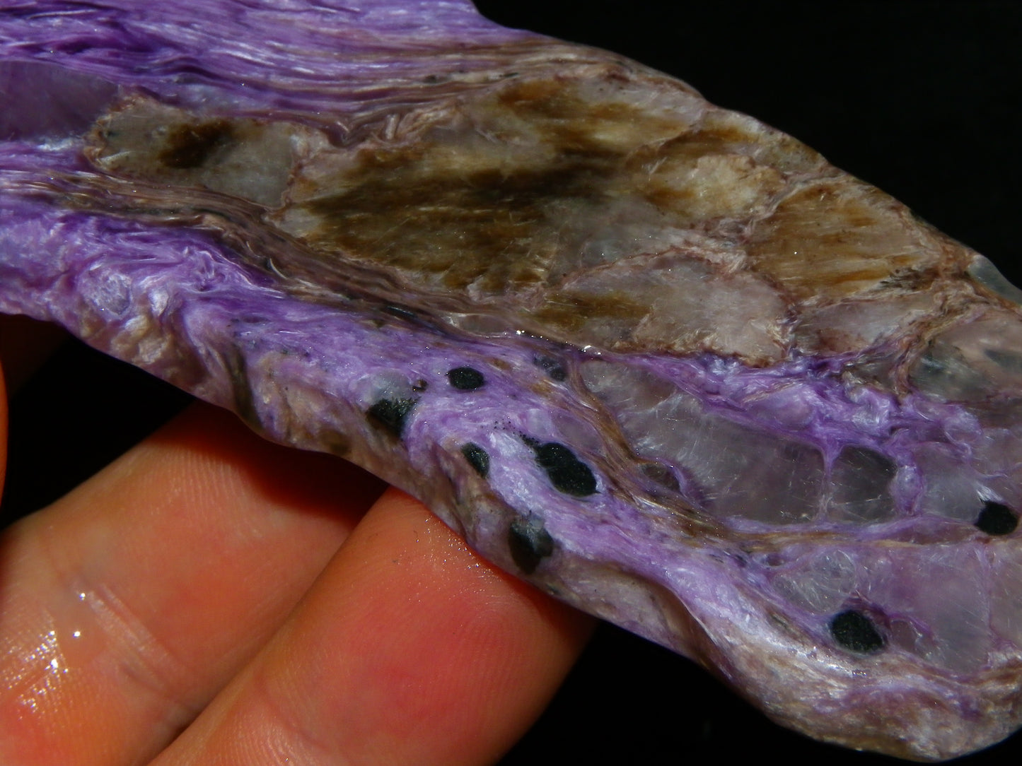 Nice Large Rough Charoite Slice 413.5cts Polished/Coated Purples/Host Rock :)