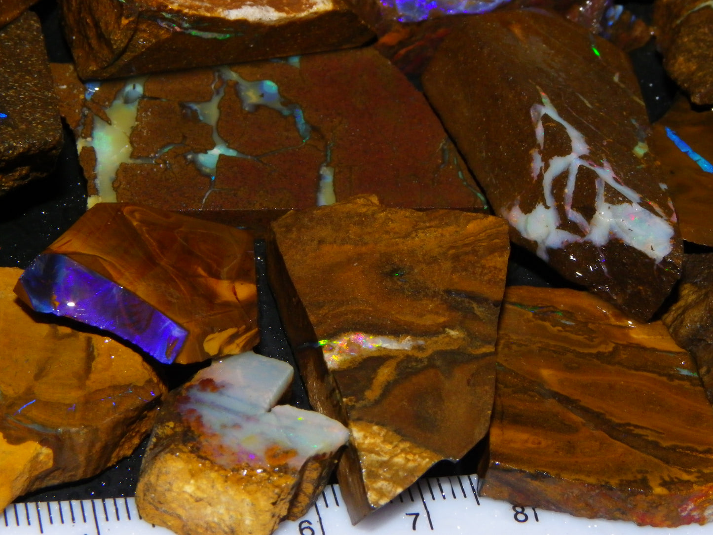 Nice Rough/Sliced Boulder Opals 2117cts Queensland Australia Some Veins/Fires :)