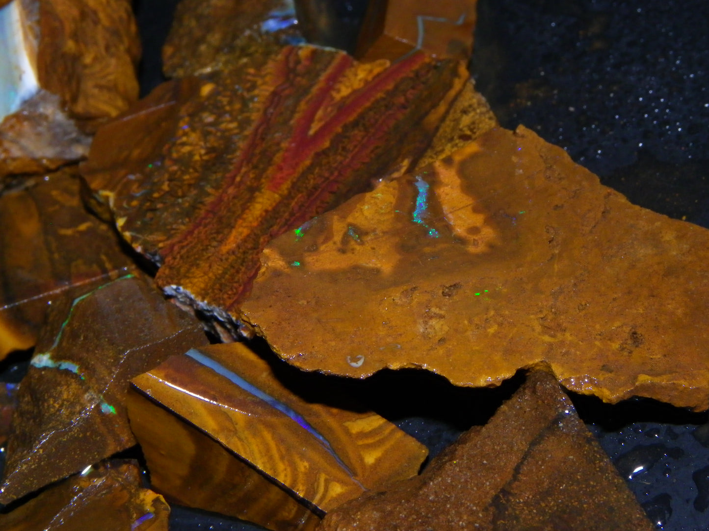 Nice Rough/Sliced Boulder Opals 2117cts Queensland Australia Some Veins/Fires :)