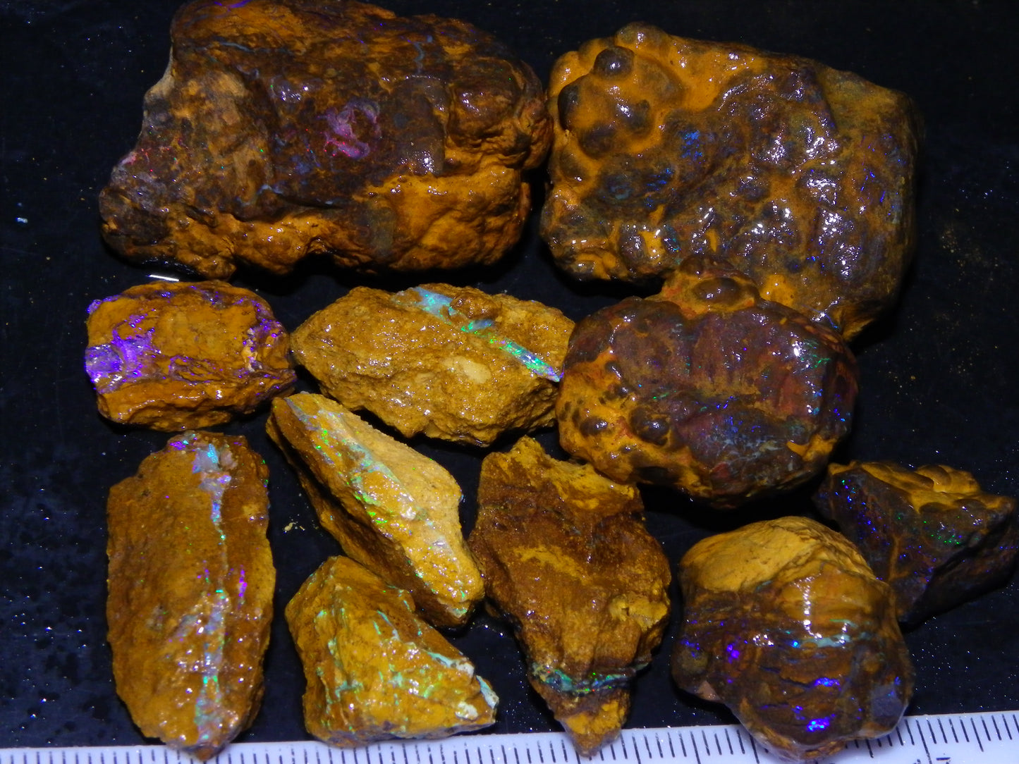 Nice Matrix/Boulder Rough Opal Parcel 551cts Queensland/Opalton Material Green/Blues