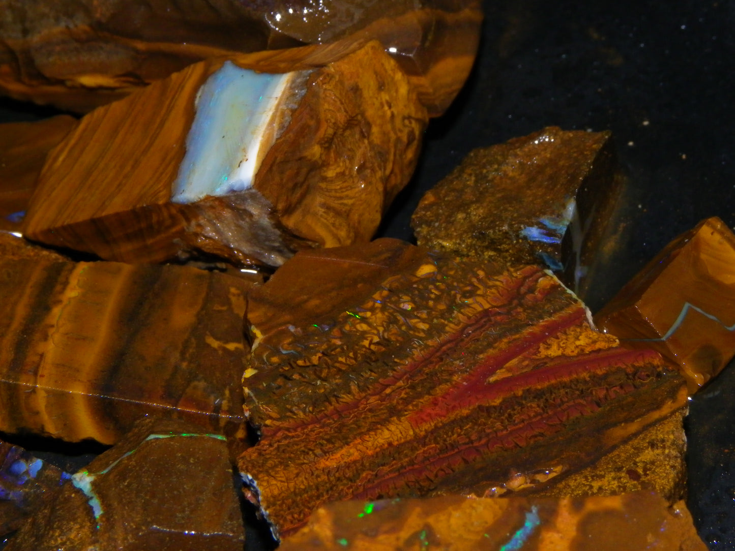 Nice Rough/Sliced Boulder Opals 2117cts Queensland Australia Some Veins/Fires :)