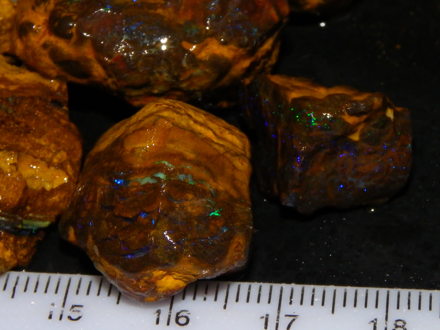 Nice Matrix/Boulder Rough Opal Parcel 551cts Queensland/Opalton Material Green/Blues