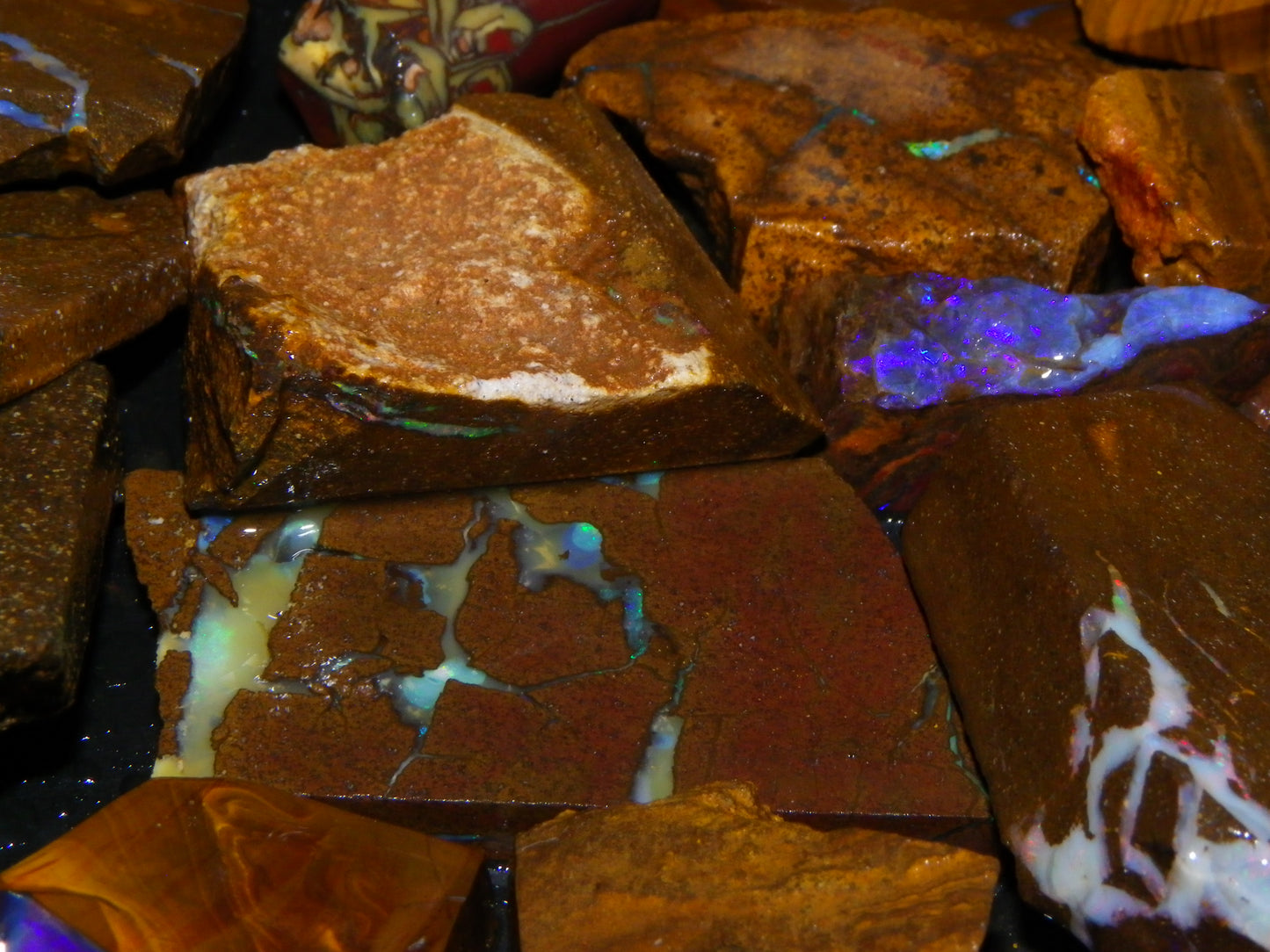 Nice Rough/Sliced Boulder Opals 2117cts Queensland Australia Some Veins/Fires :)