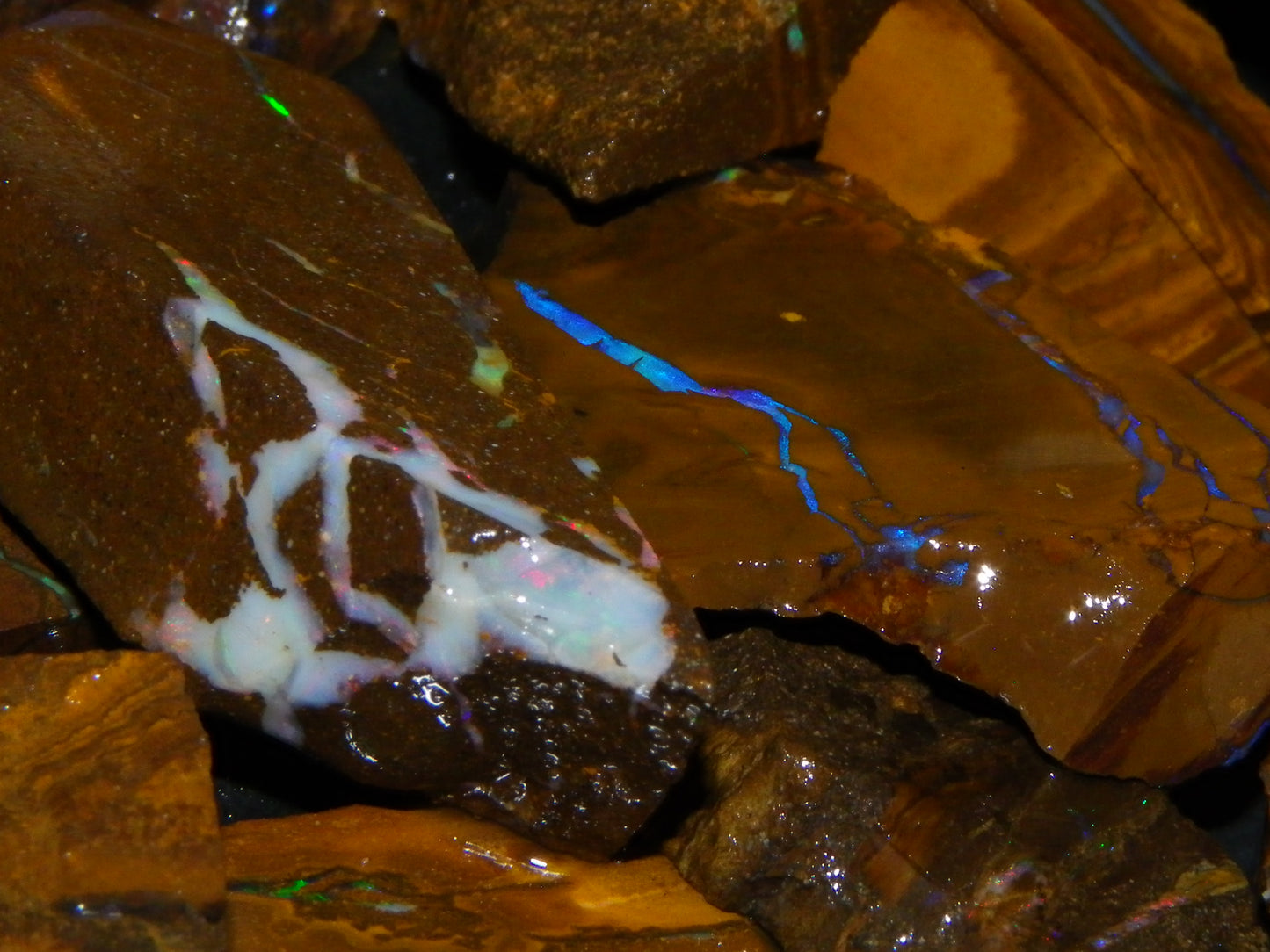 Nice Rough/Sliced Boulder Opals 2117cts Queensland Australia Some Veins/Fires :)