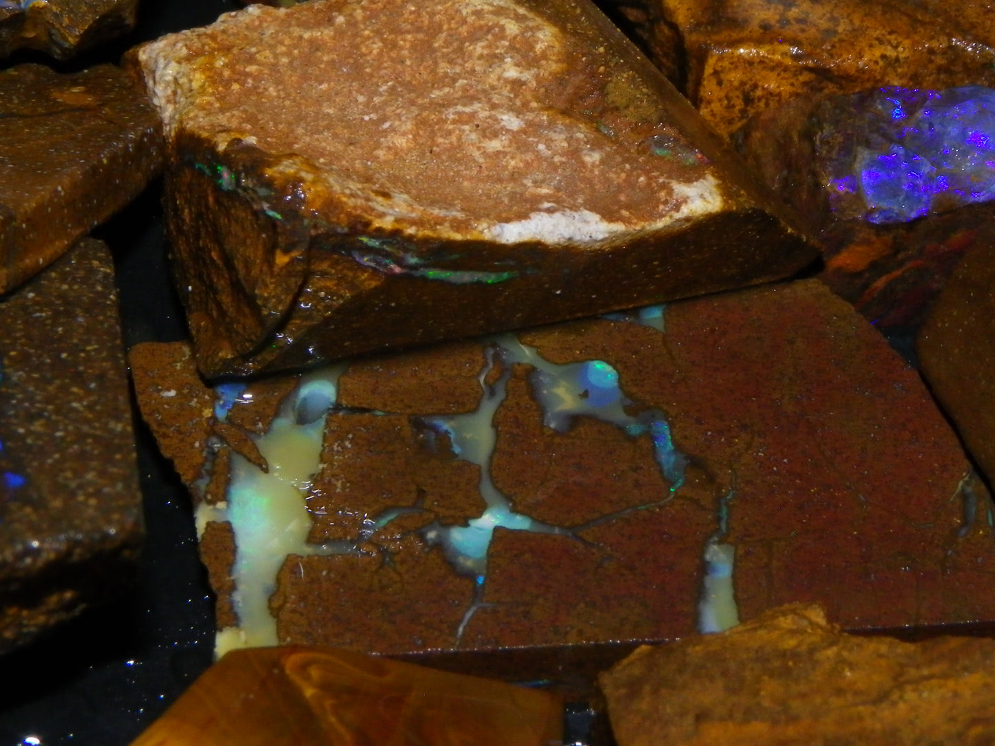 Nice Rough/Sliced Boulder Opals 2117cts Queensland Australia Some Veins/Fires :)