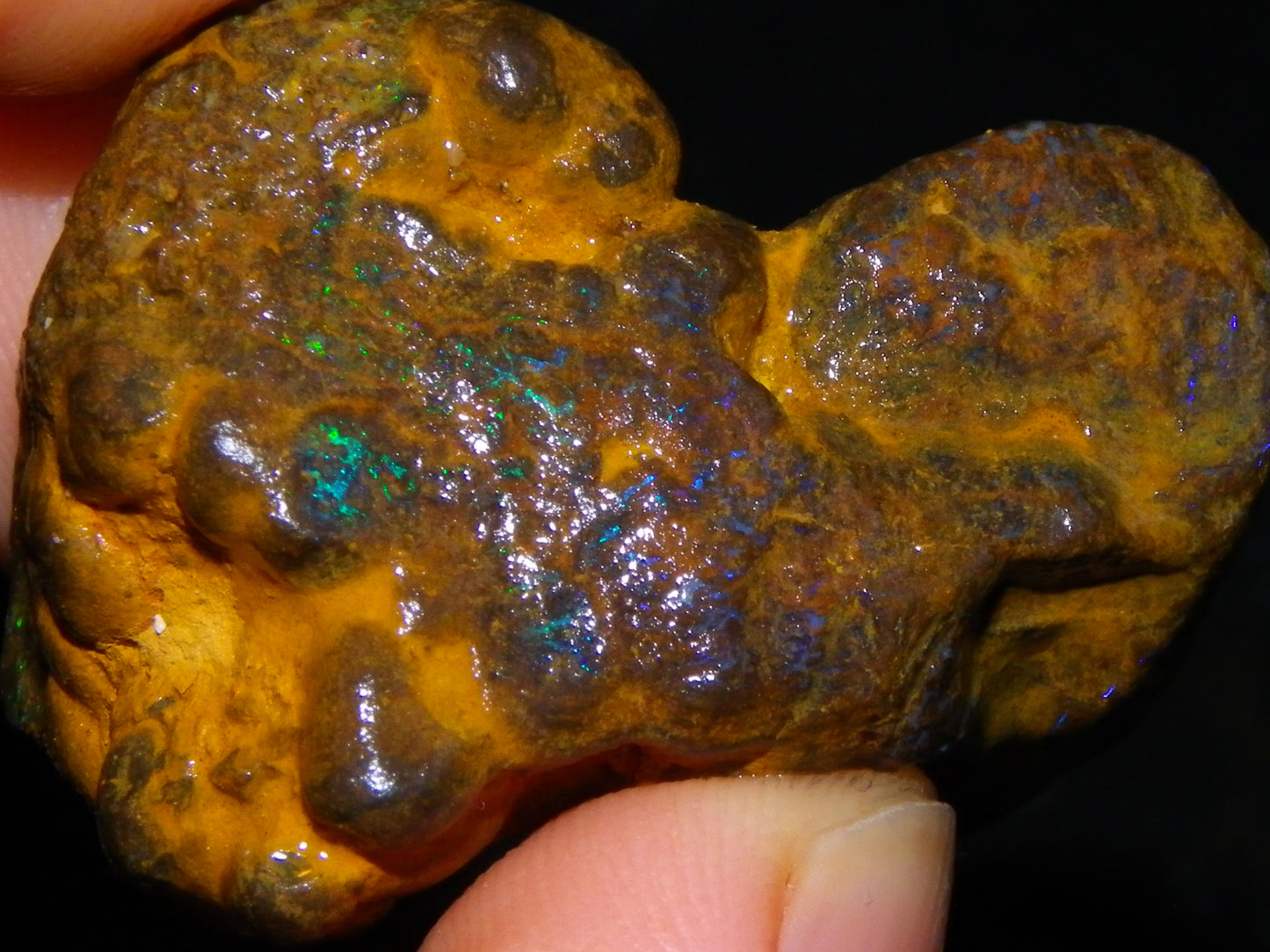 Nice Matrix/Boulder Rough Opal Parcel 551cts Queensland/Opalton Material Green/Blues