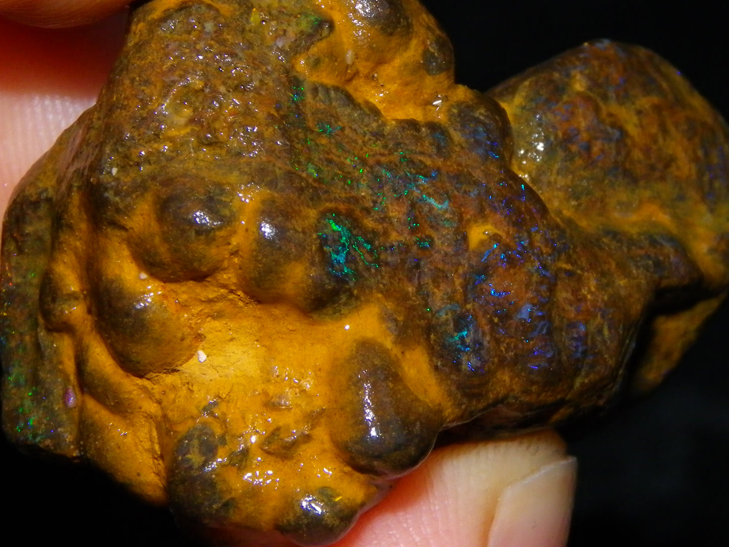 Nice Matrix/Boulder Rough Opal Parcel 551cts Queensland/Opalton Material Green/Blues