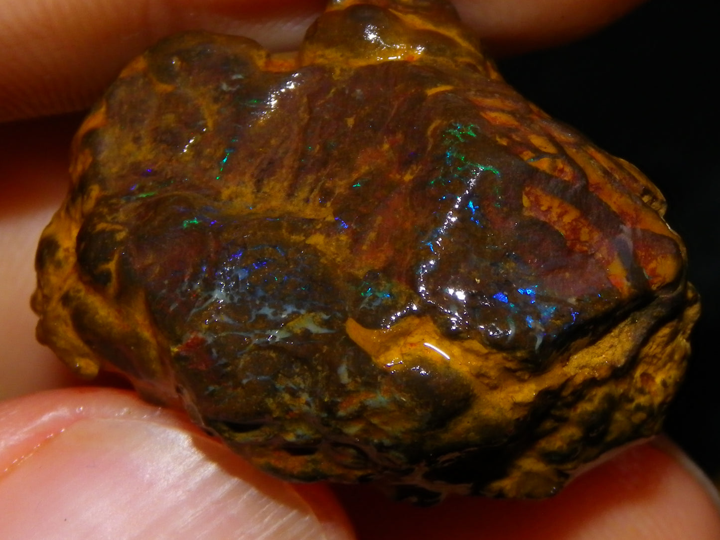 Nice Matrix/Boulder Rough Opal Parcel 551cts Queensland/Opalton Material Green/Blues