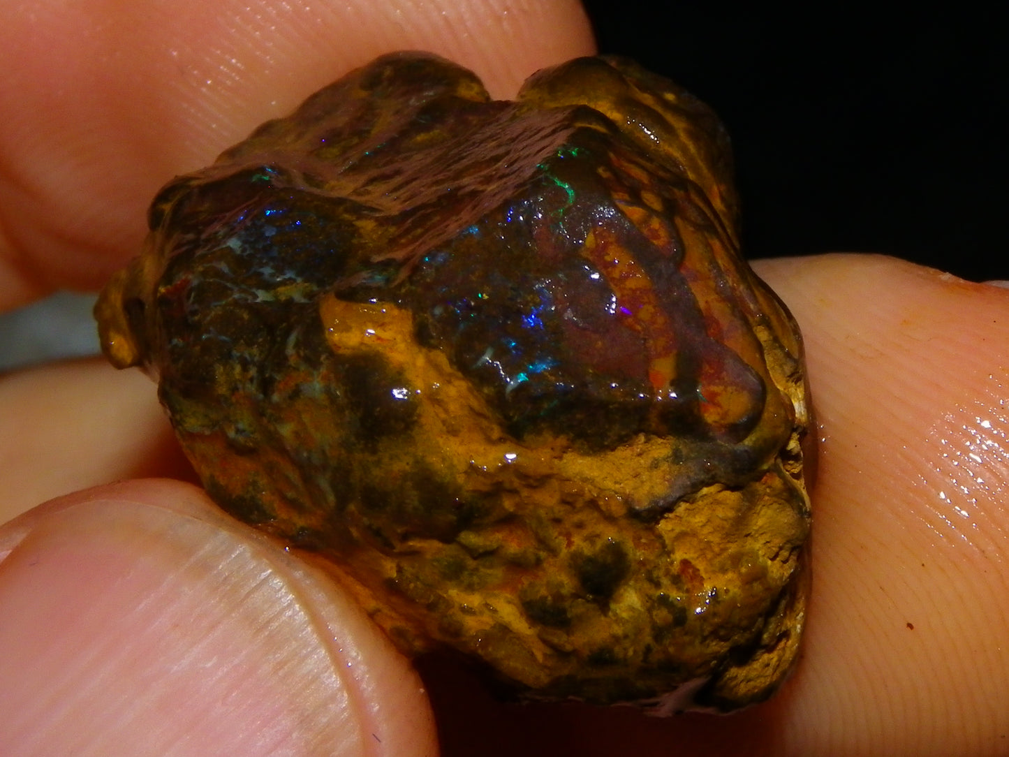 Nice Matrix/Boulder Rough Opal Parcel 551cts Queensland/Opalton Material Green/Blues