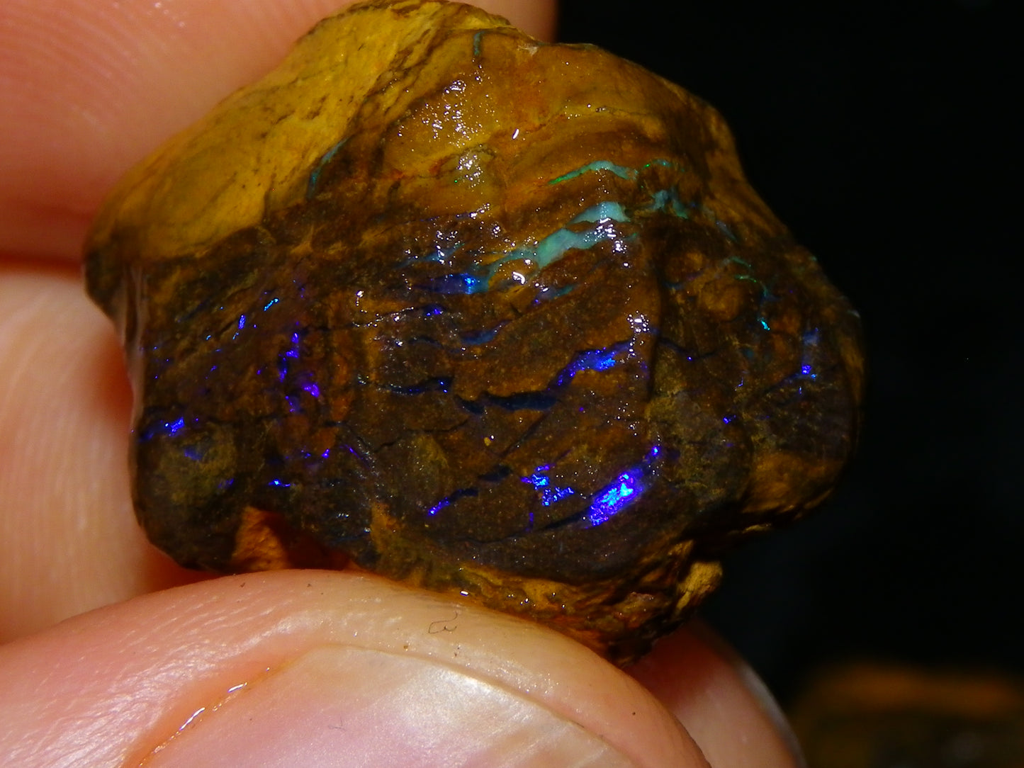 Nice Matrix/Boulder Rough Opal Parcel 551cts Queensland/Opalton Material Green/Blues