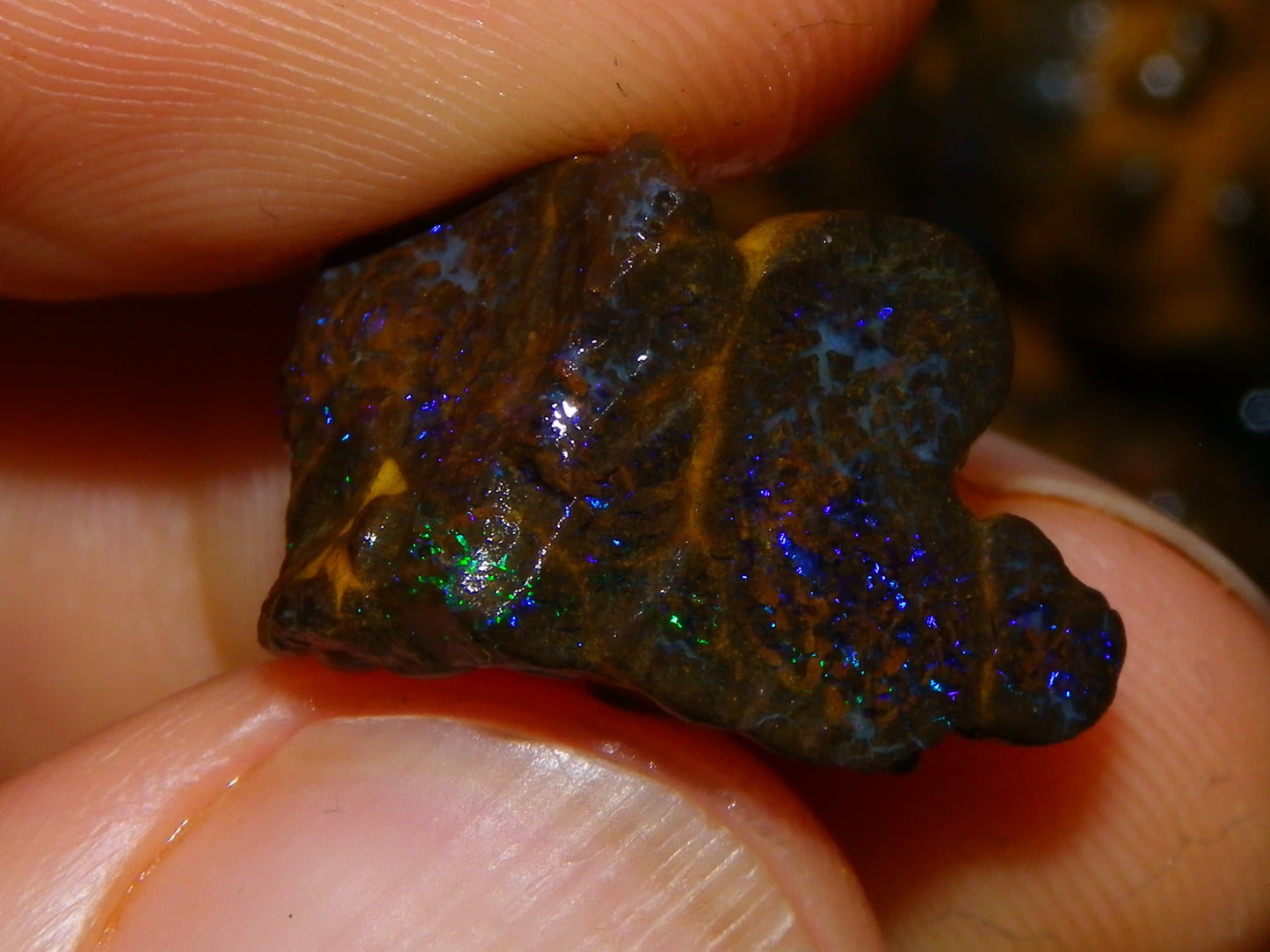 Nice Matrix/Boulder Rough Opal Parcel 551cts Queensland/Opalton Material Green/Blues