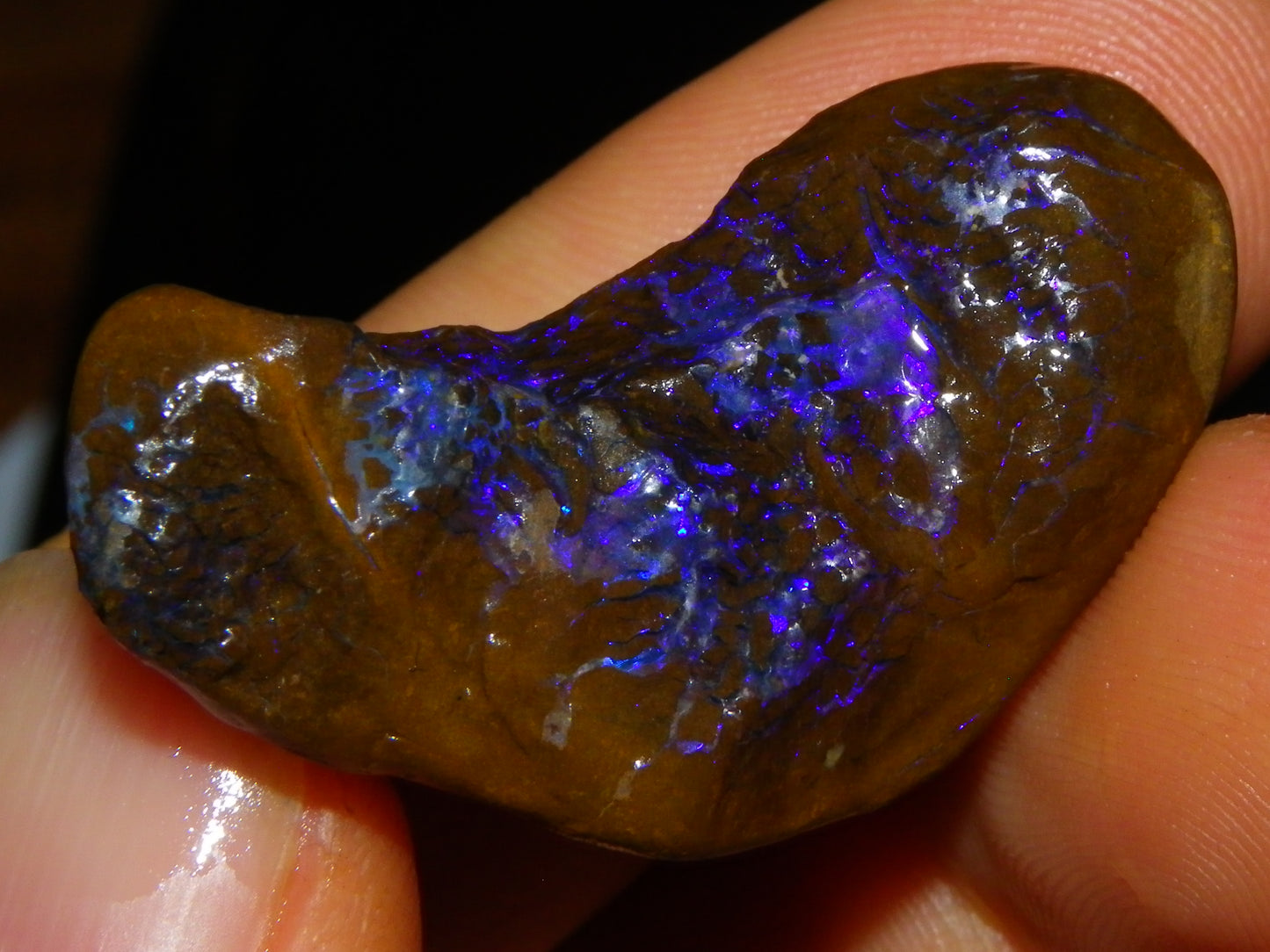 4 Rough/Tumbled Matrix Opals 251cts Queensland Blue/Purples Fires Ironstones Au