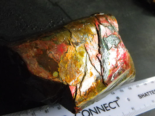 Very Nice/Large Ammolite Rough Specimen 2626cts Red/Green/Gold Colours Canada