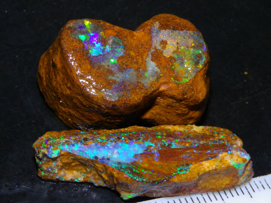 2 Nice Queensland Rough Opals 81.2cts Boulder/Koroit Blue/Green Fires Australia