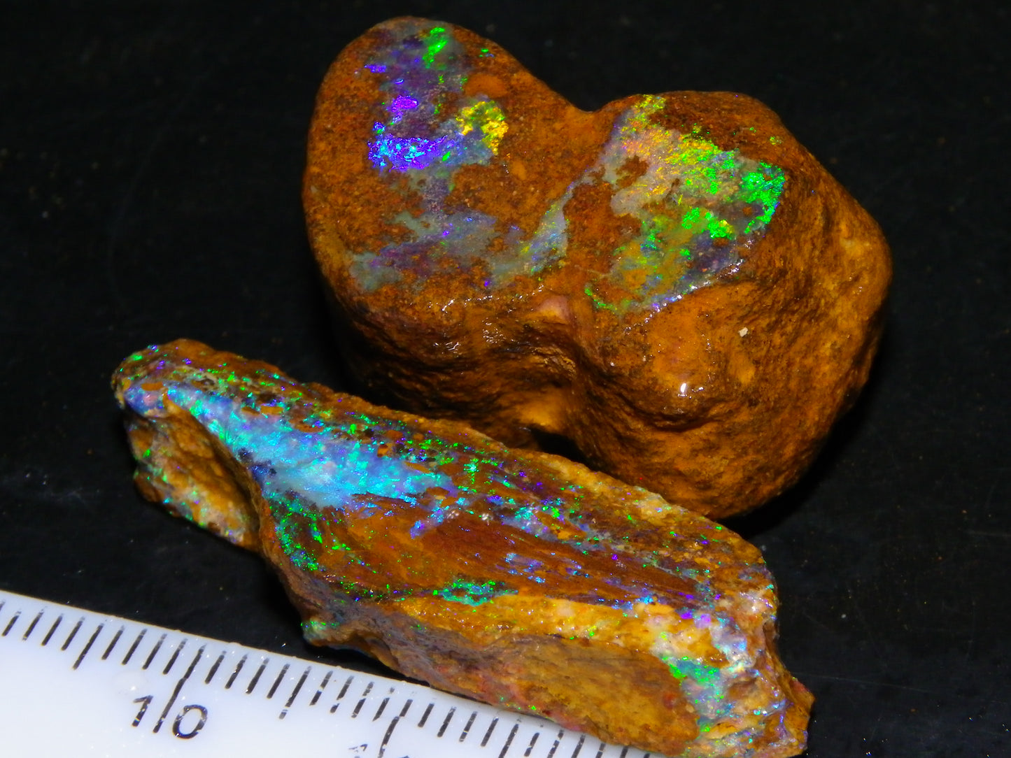 2 Nice Queensland Rough Opals 81.2cts Boulder/Koroit Blue/Green Fires Australia