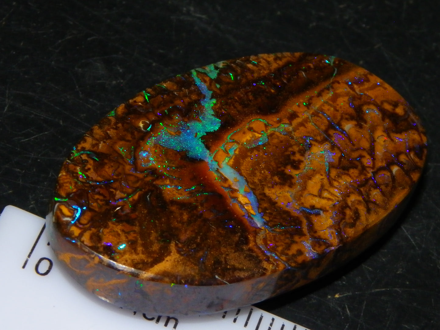 Quality Cut/Polished Koroit Opal Cab 61.1cts Blue/Green Patterns/Veins Queensland Au