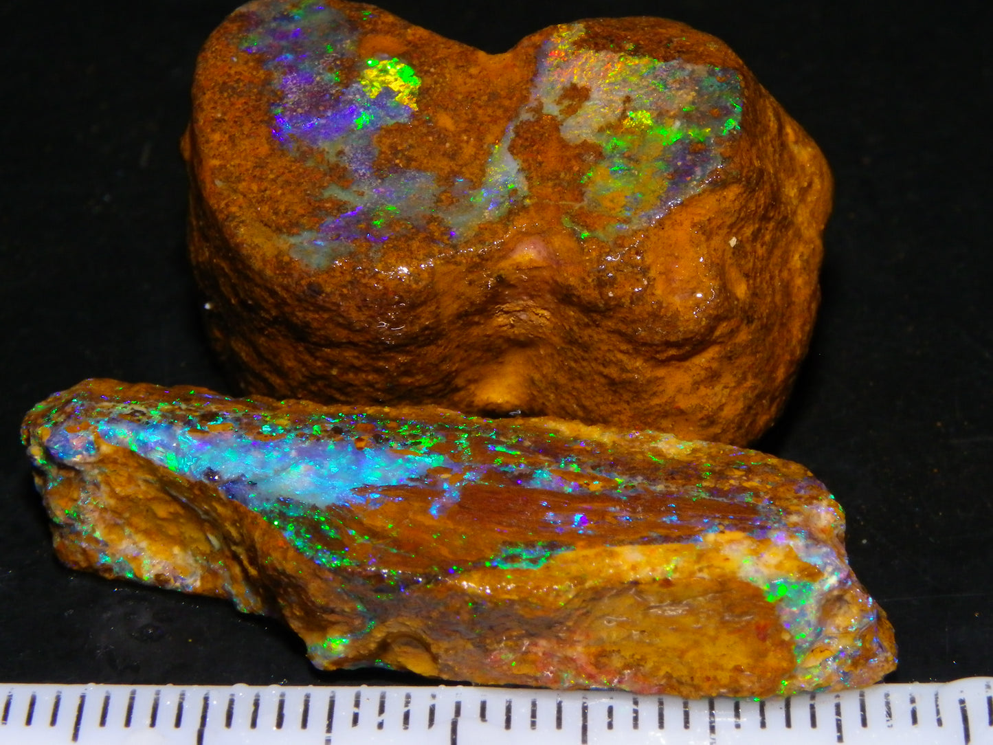 2 Nice Queensland Rough Opals 81.2cts Boulder/Koroit Blue/Green Fires Australia