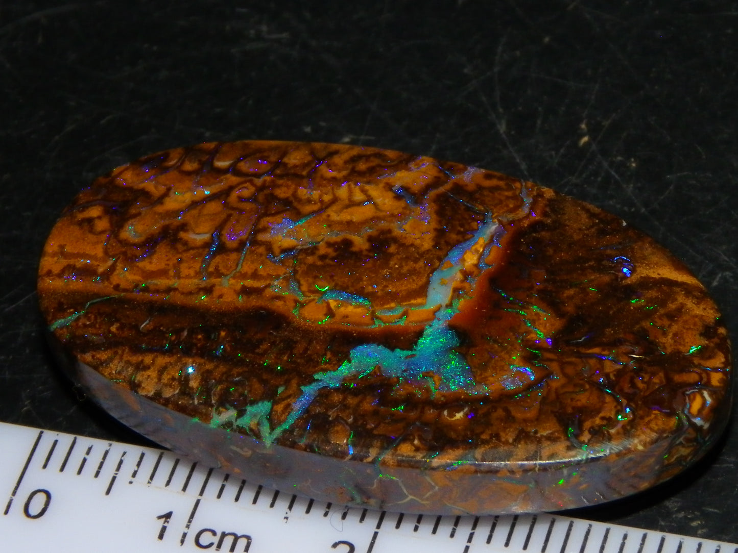 Quality Cut/Polished Koroit Opal Cab 61.1cts Blue/Green Patterns/Veins Queensland Au