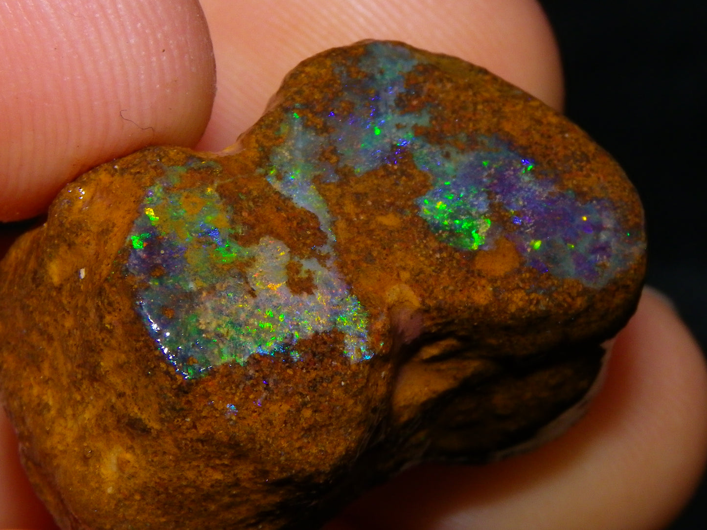 2 Nice Queensland Rough Opals 81.2cts Boulder/Koroit Blue/Green Fires Australia