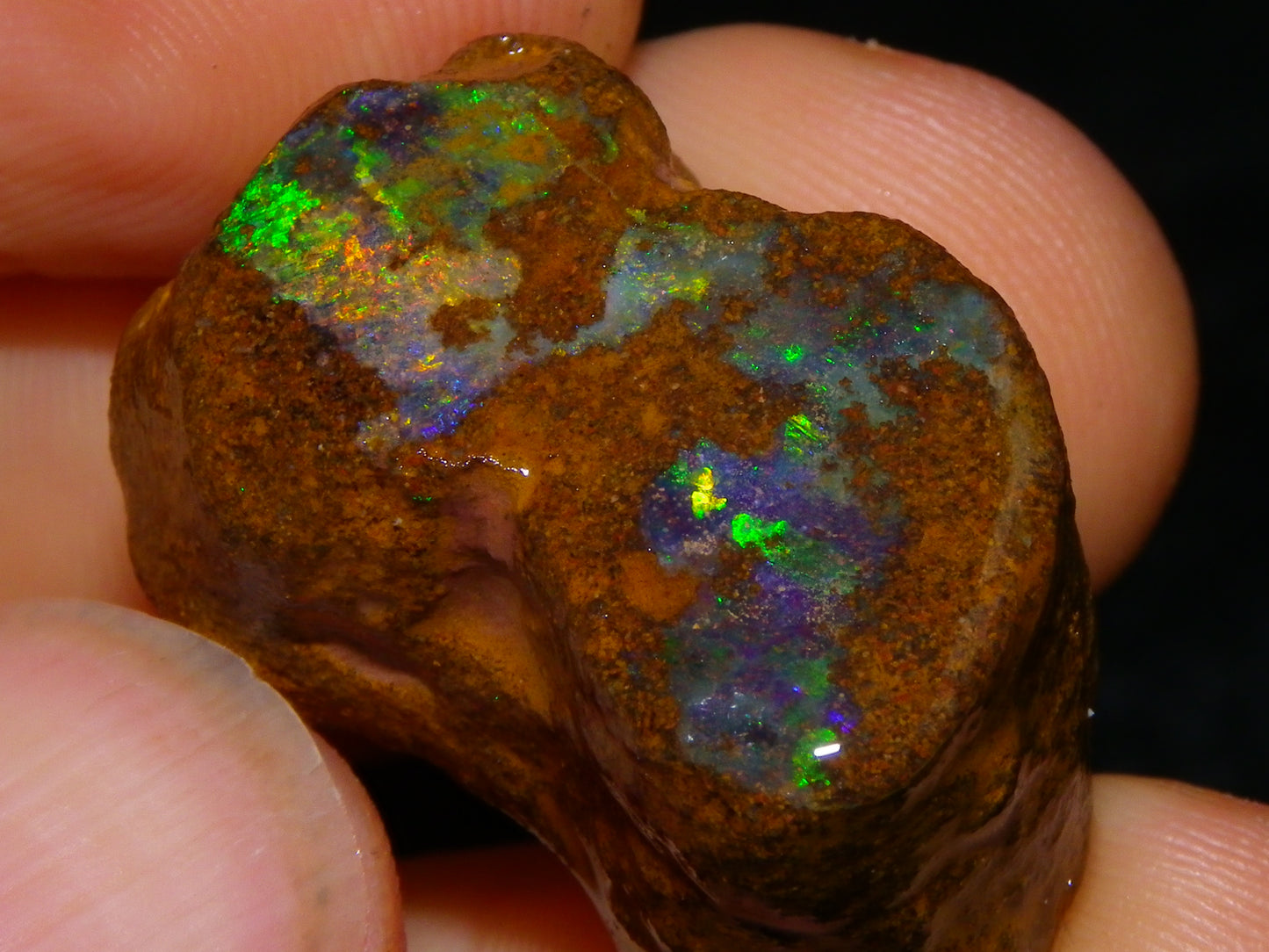 2 Nice Queensland Rough Opals 81.2cts Boulder/Koroit Blue/Green Fires Australia