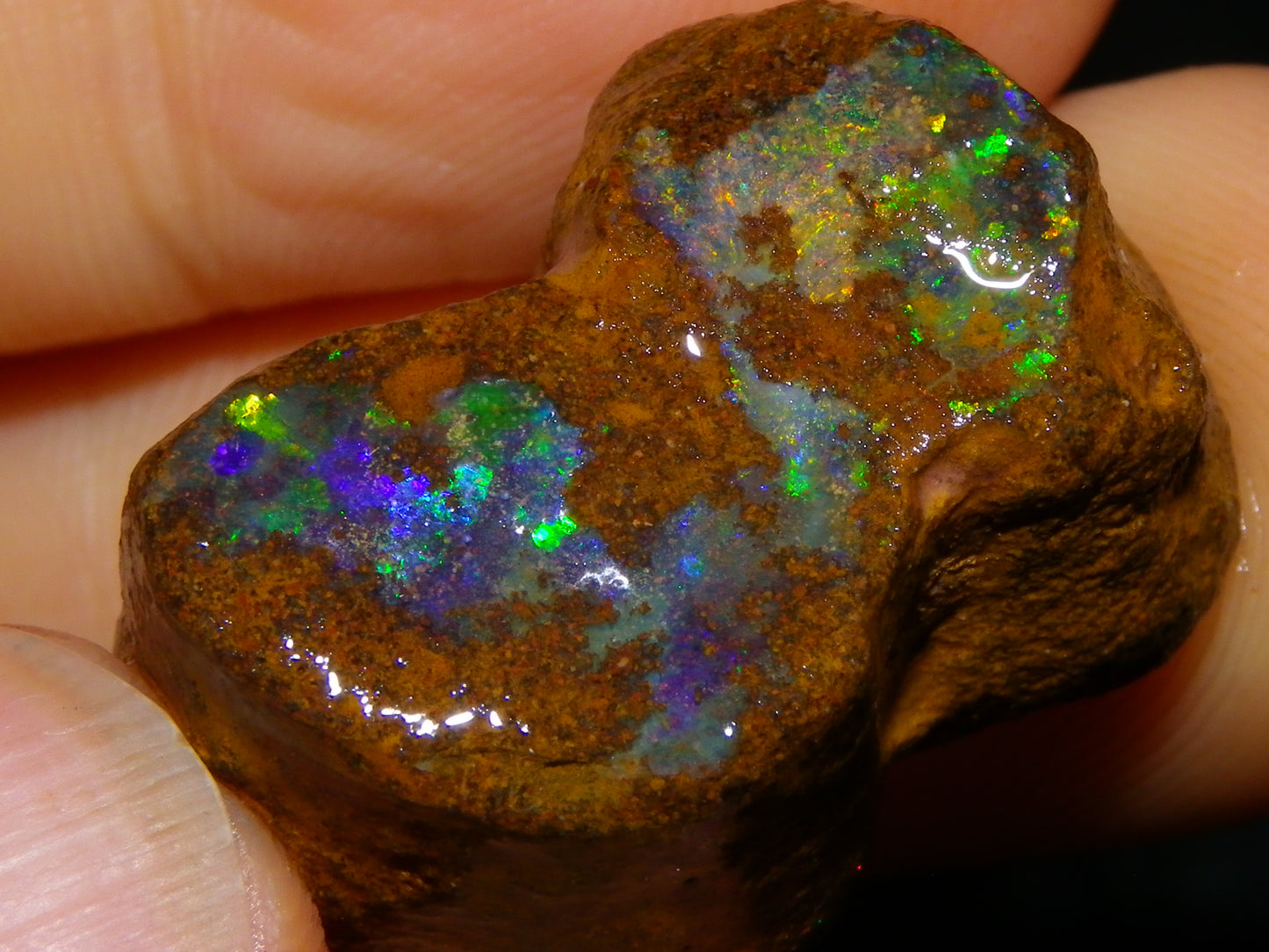 2 Nice Queensland Rough Opals 81.2cts Boulder/Koroit Blue/Green Fires Australia