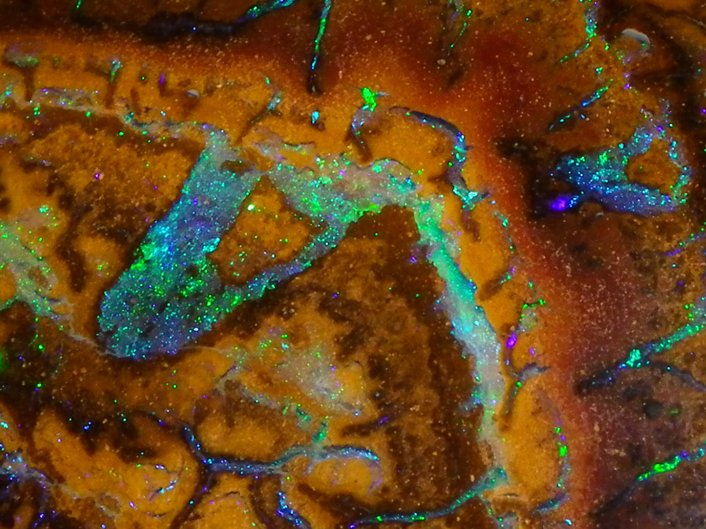 Quality Cut/Polished Koroit Opal Cab 61.1cts Blue/Green Patterns/Veins Queensland Au