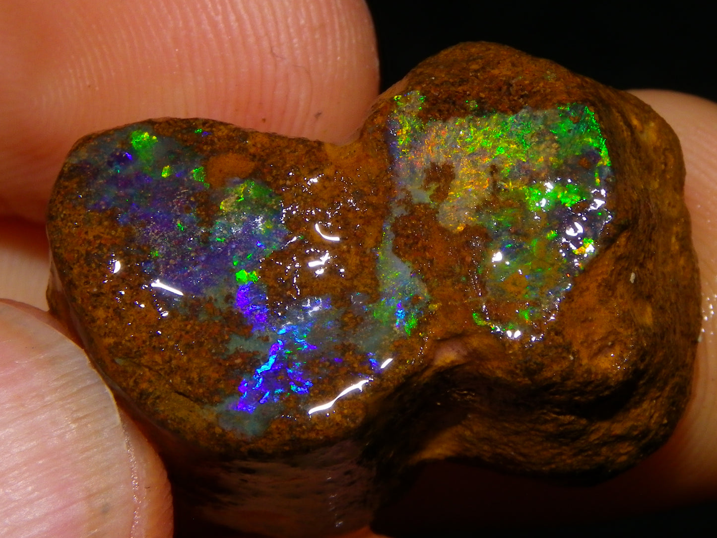 2 Nice Queensland Rough Opals 81.2cts Boulder/Koroit Blue/Green Fires Australia