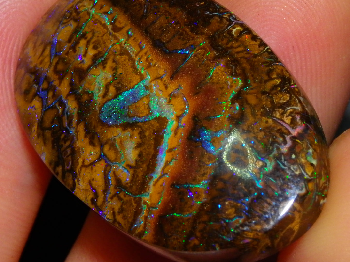 Quality Cut/Polished Koroit Opal Cab 61.1cts Blue/Green Patterns/Veins Queensland Au