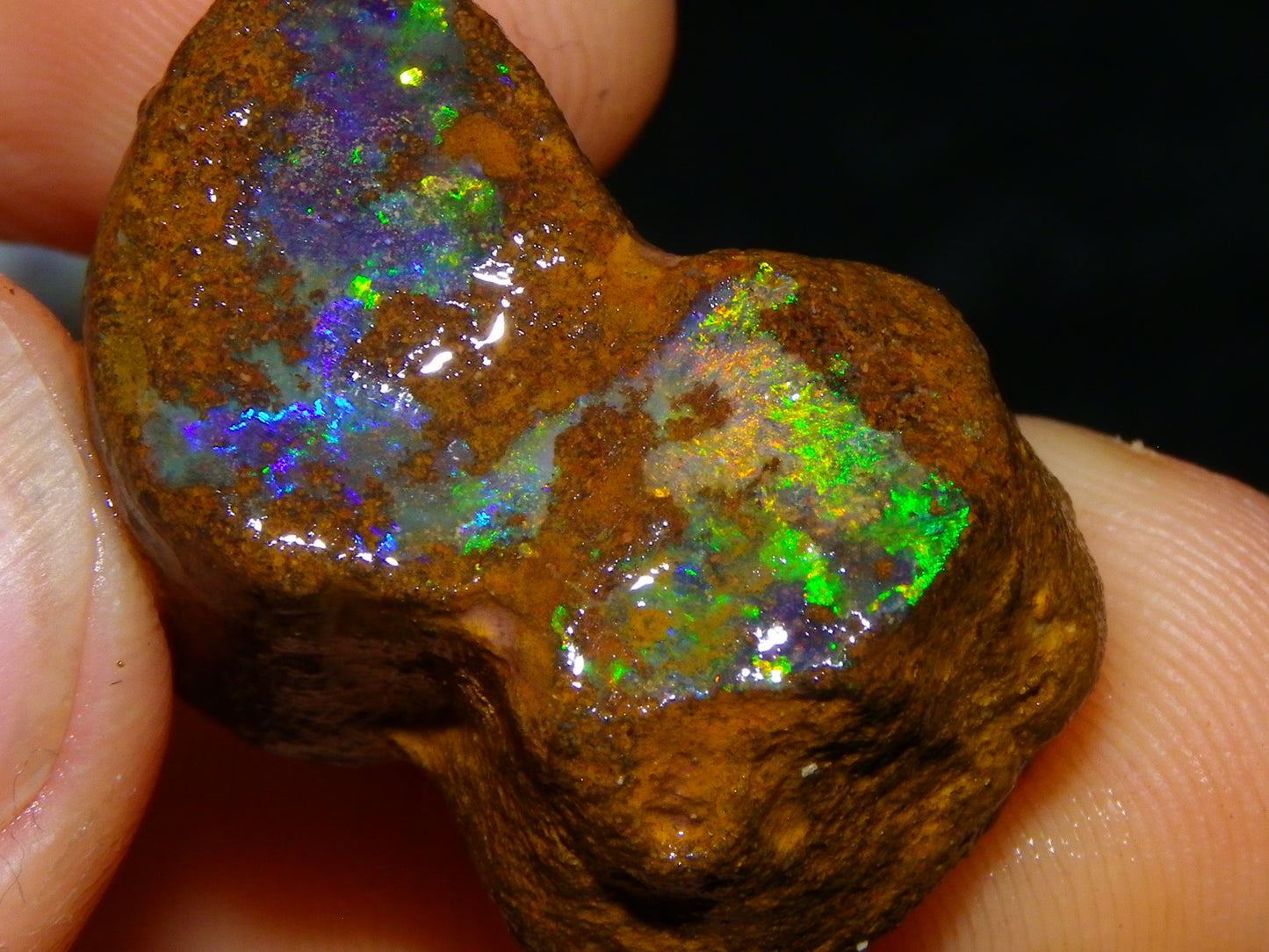 2 Nice Queensland Rough Opals 81.2cts Boulder/Koroit Blue/Green Fires Australia