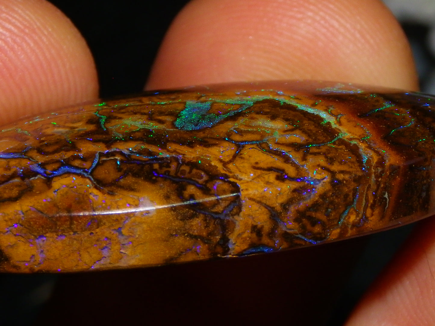 Quality Cut/Polished Koroit Opal Cab 61.1cts Blue/Green Patterns/Veins Queensland Au